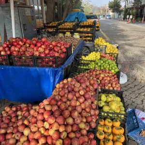 Karaağaç02
