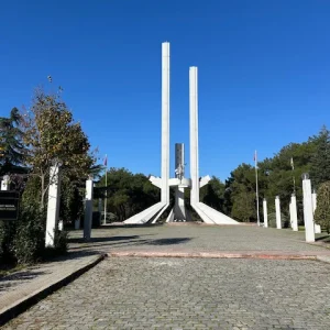 Karaağaç11