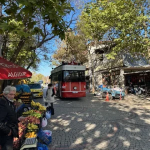 Karaağaç12