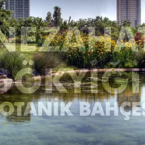 Nezahat Gökyiğit Botanik
